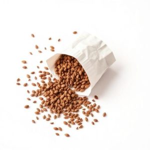 Coriander Seeds - Dhaniya